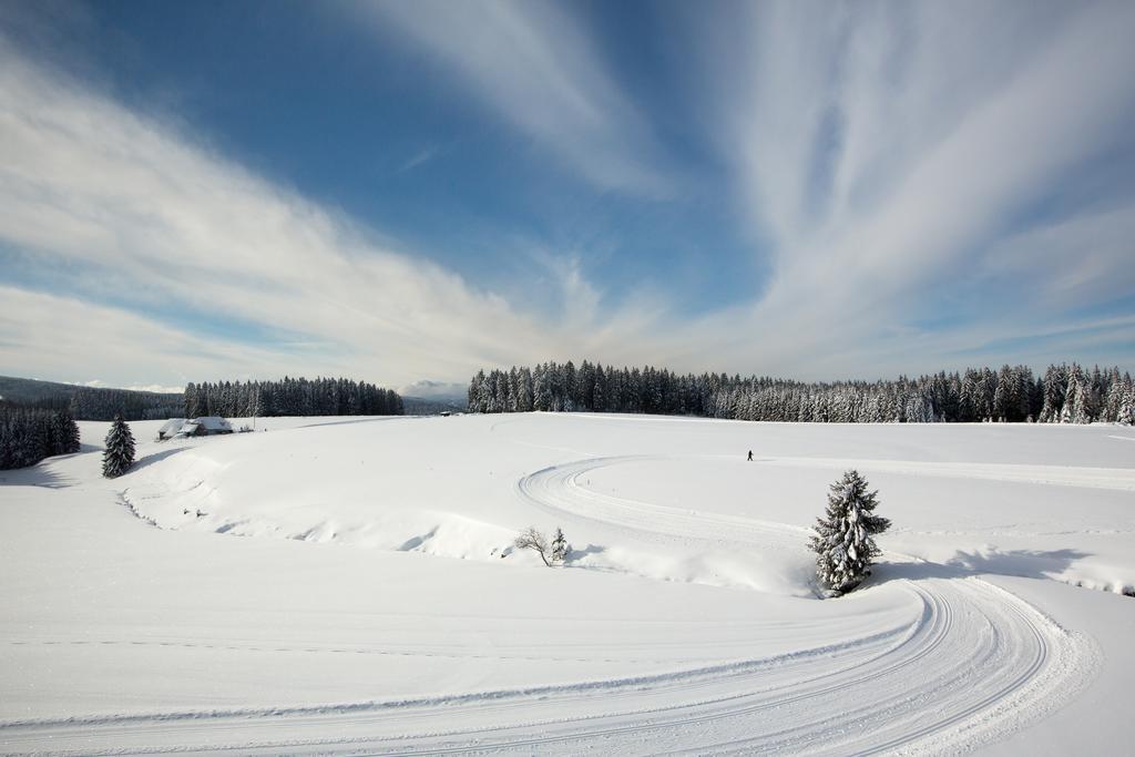 Gasthaus Zum Hirschen Фуртванген Экстерьер фото